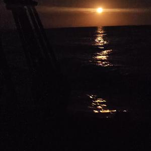 The Enterprize Trip March 2026