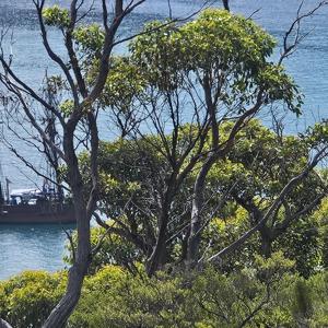 The Enterprize Trip March 2026