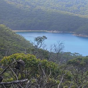 The Enterprize Trip March 2026