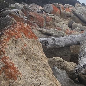 The Enterprize Trip March 2026