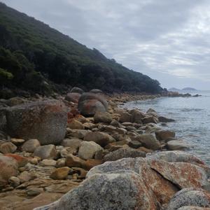 The Enterprize Trip March 2026