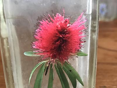Glass Wireless Accumulator — Sample