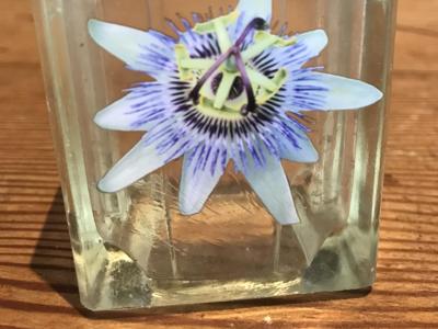 Glass Wireless Accumulator — Sample
